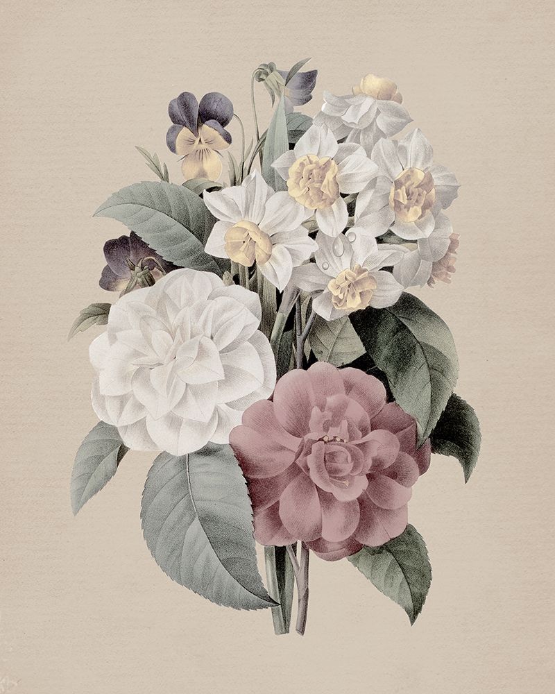 Antique Botanical II art print by Carol Robinson for $57.95 CAD