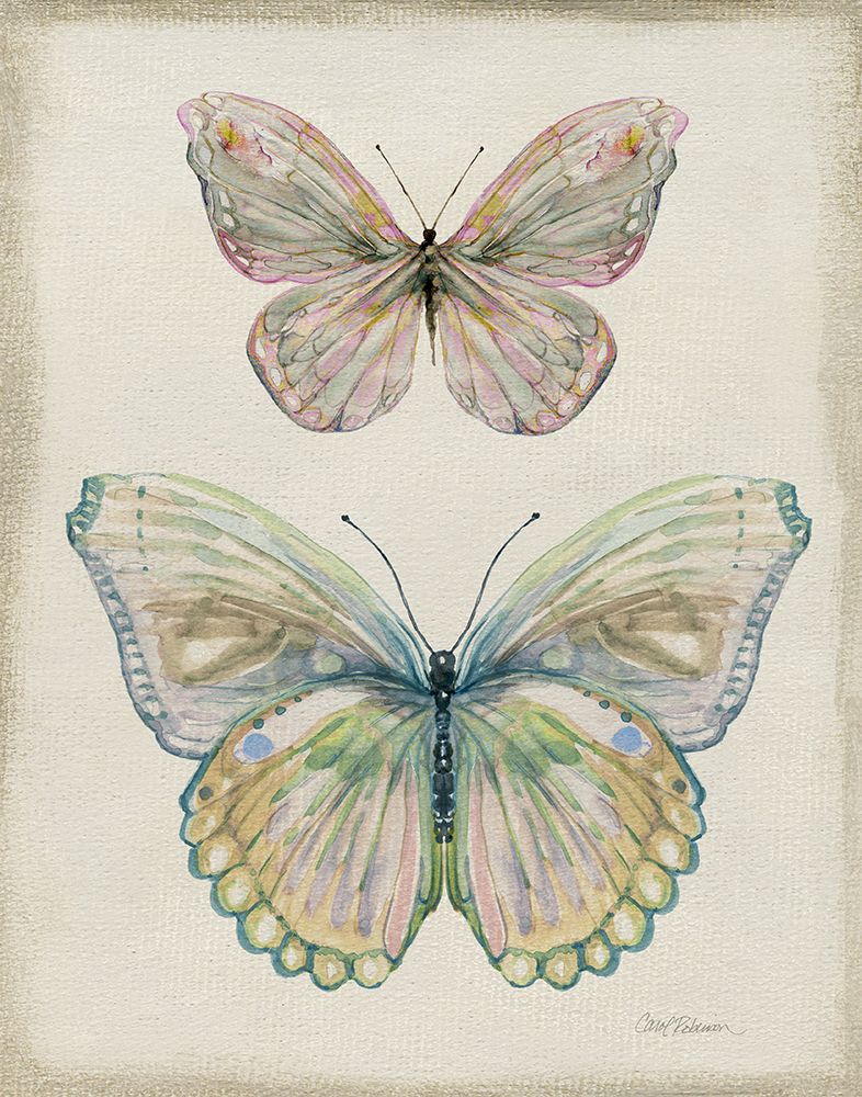 Botanical Butterflies I art print by Carol Robinson for $57.95 CAD