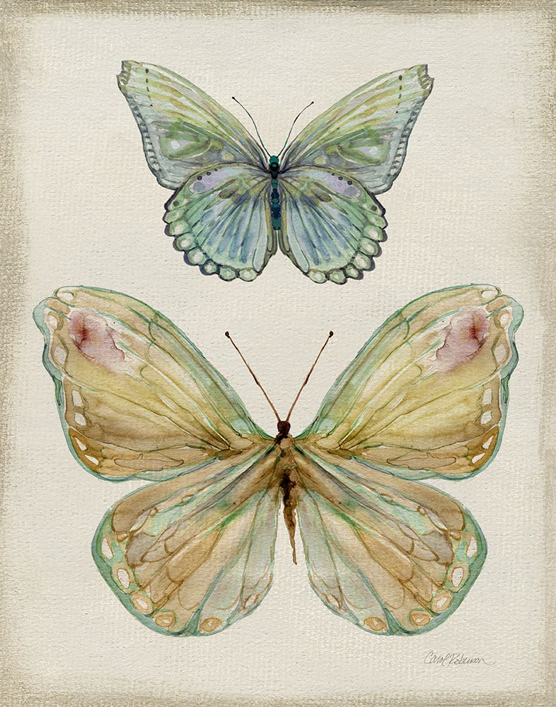 Botanical Butterflies II art print by Carol Robinson for $57.95 CAD