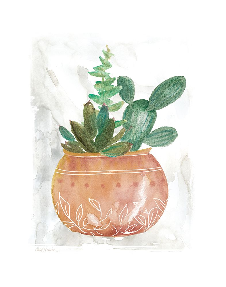 Boho Succulent art print by Carol Robinson for $57.95 CAD