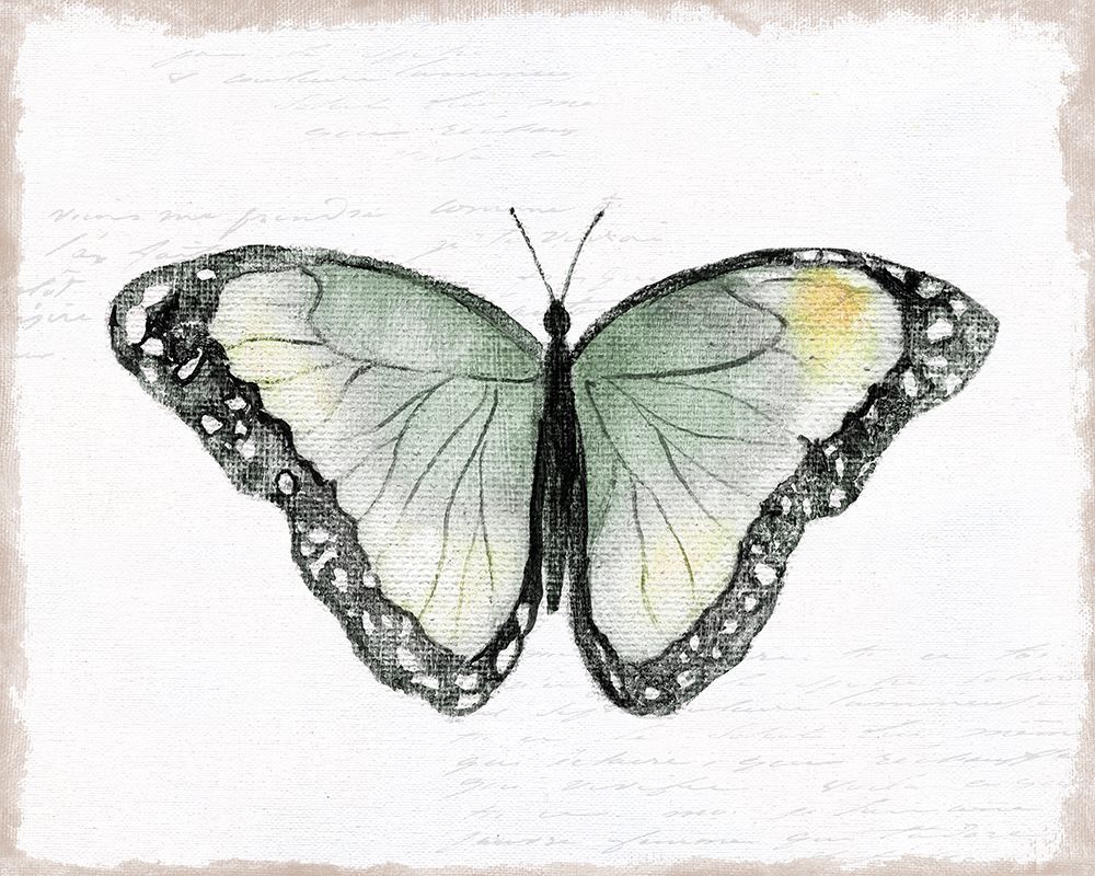 Vintage Flutter III art print by Tava Studios for $57.95 CAD