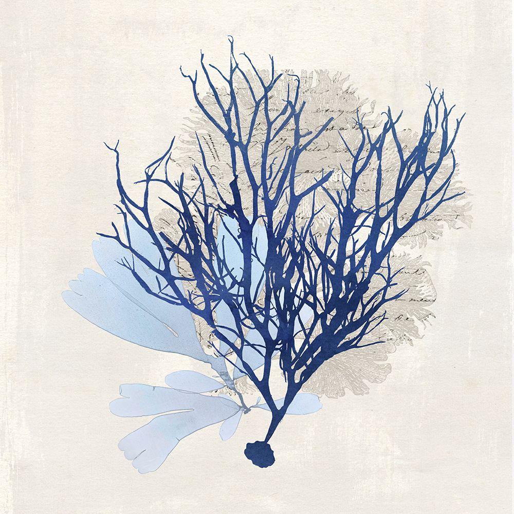 Blue on Blue Coral II art print by Susan Arnot for $57.95 CAD