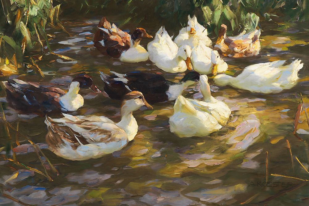 White Ducks in the Pond art print by Alexander Koester for $57.95 CAD