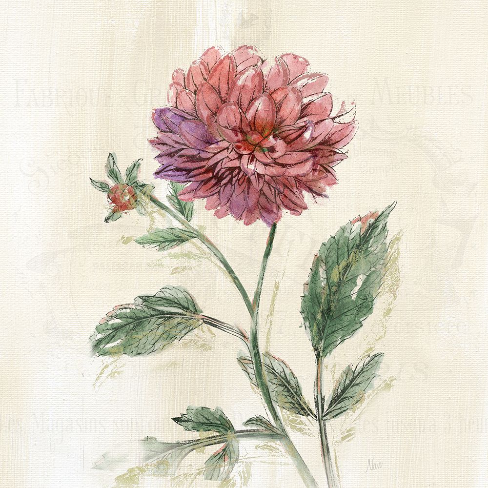 Classical Botanical I art print by Nan for $57.95 CAD