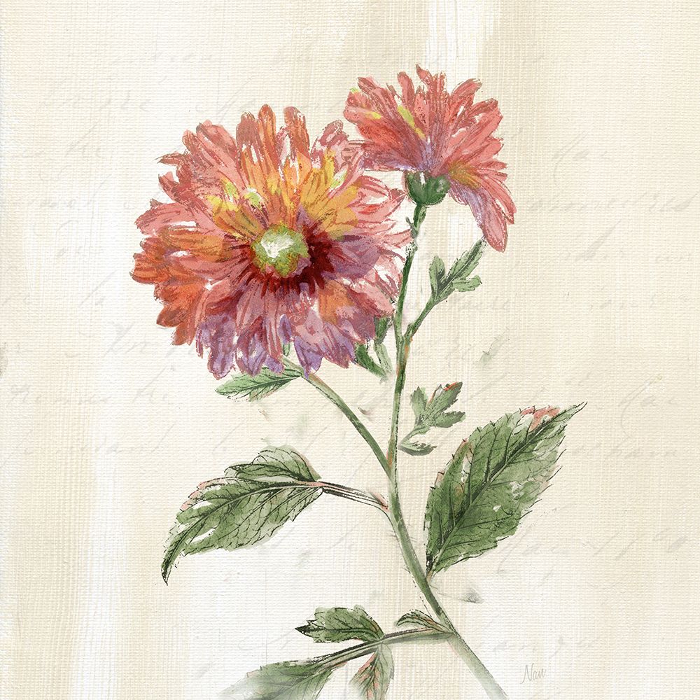 Classical Botanical II art print by Nan for $57.95 CAD