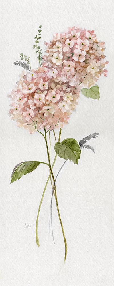 Peachy Hydrangeas I art print by Nan for $57.95 CAD