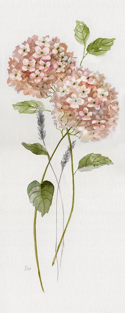 Peachy Hydrangeas II art print by Nan for $57.95 CAD