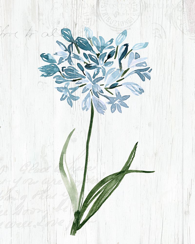 Garden Botanical I art print by Kristen Brockmon for $57.95 CAD