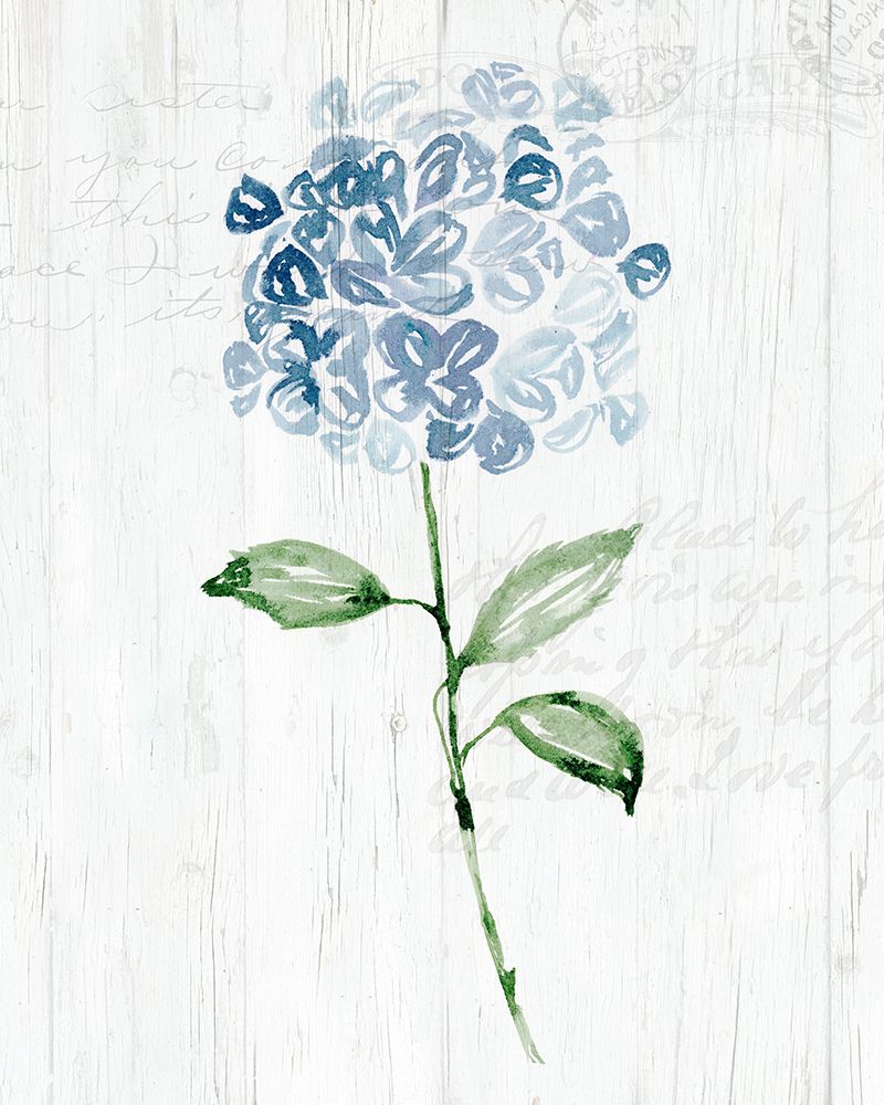 Garden Botanical II art print by Kristen Brockmon for $57.95 CAD