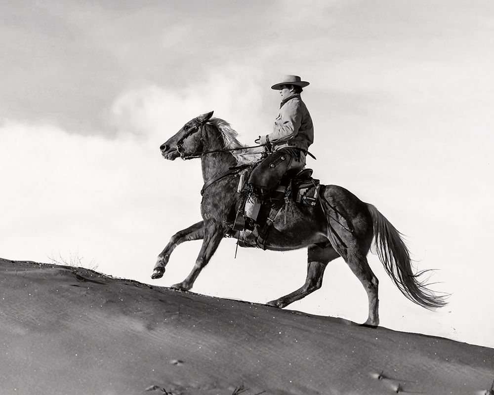 Horse Wrangler art print by Danita Delimont for $57.95 CAD