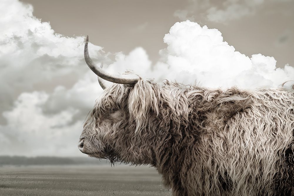 Highland View art print by CAD Design for $57.95 CAD