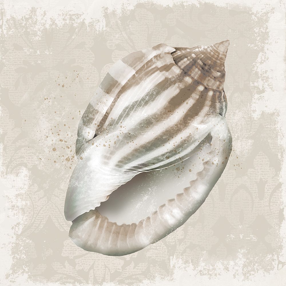 Sophisticated Shell I art print by Conrad Knutsen for $57.95 CAD