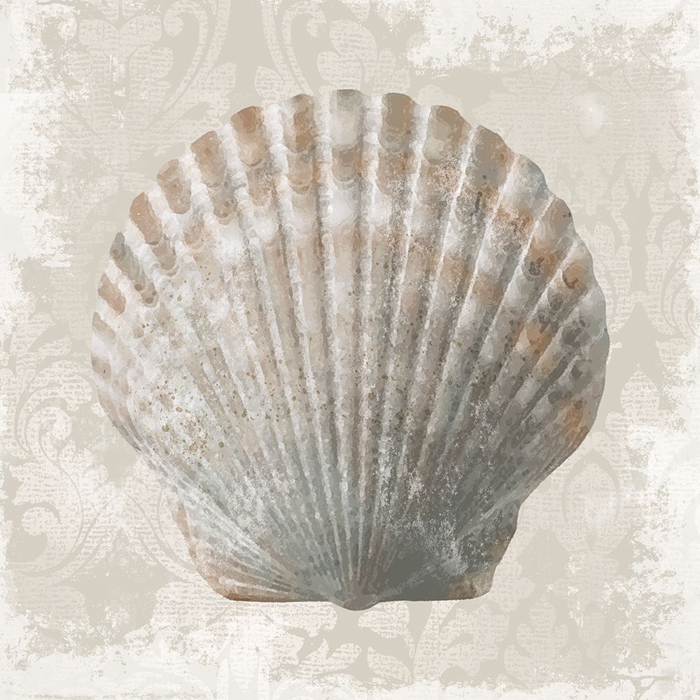 Sophisticated Shell II art print by Conrad Knutsen for $57.95 CAD
