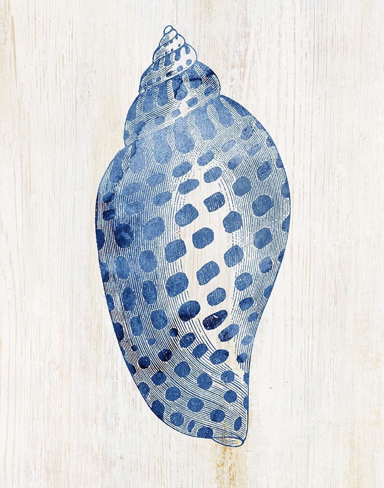 Shell I art print by Susan Arnot for $57.95 CAD