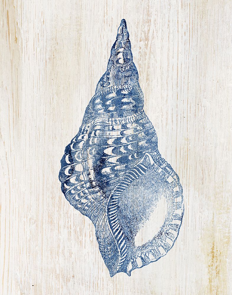 Shell III art print by Susan Arnot for $57.95 CAD