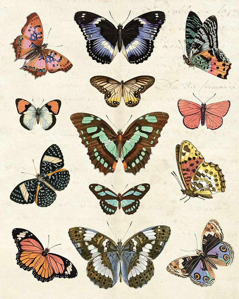 Flutterbys I art print by Susan Arnot for $57.95 CAD