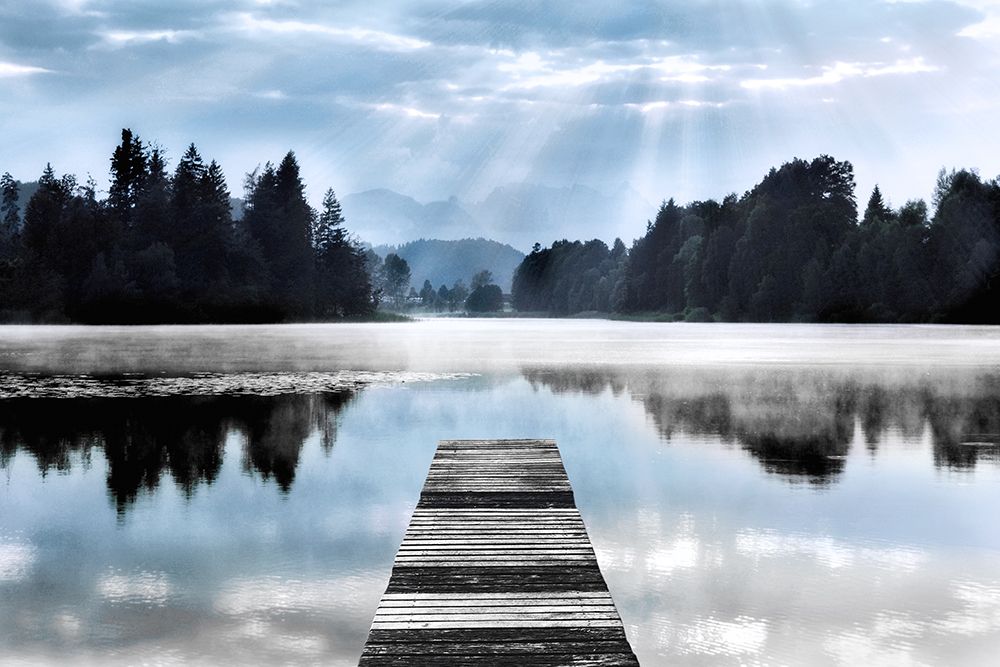 Morning on the Dock art print by Irene Weisz for $57.95 CAD