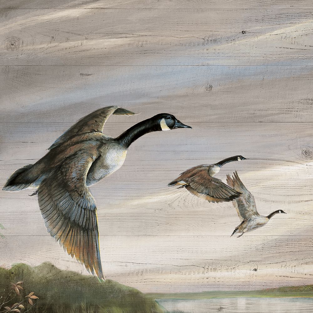 Migratory Birds I art print by Ruane Manning for $57.95 CAD