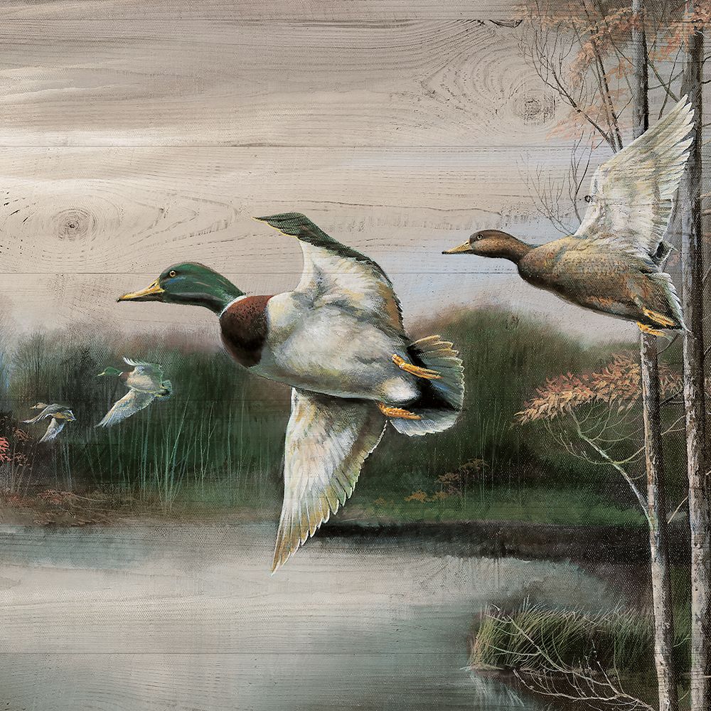 Migratory Birds II art print by Ruane Manning for $57.95 CAD