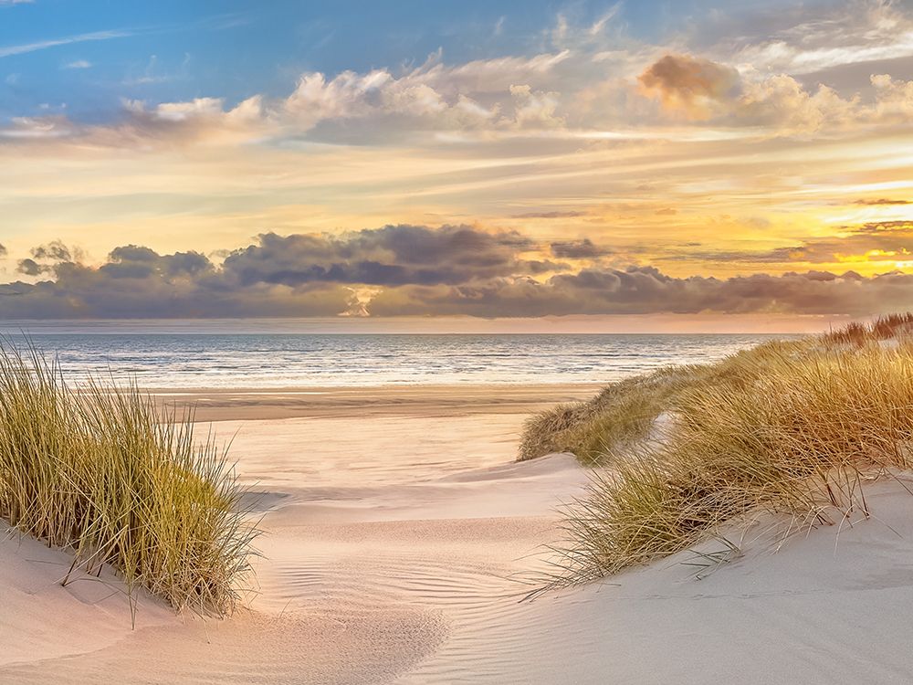 Pink Sands art print by Mike Calascibetta for $57.95 CAD