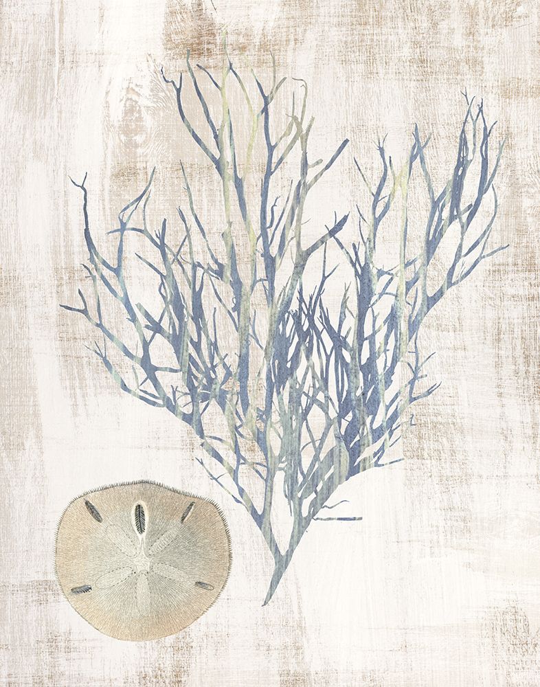 Kelp I art print by Susan Arnot for $57.95 CAD