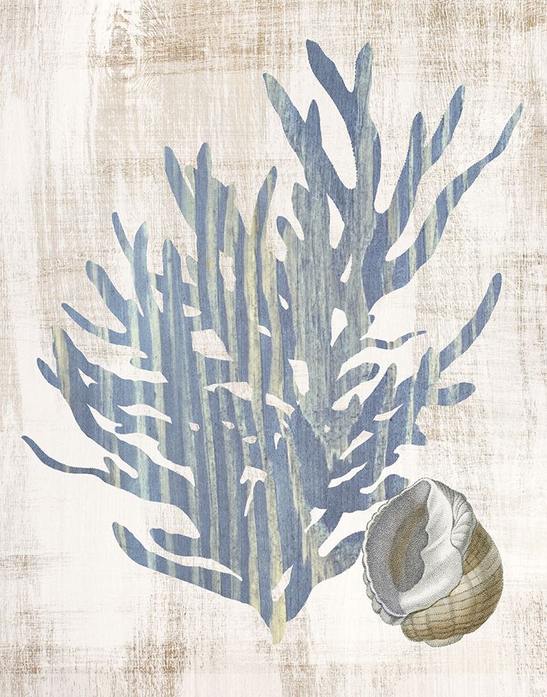 Kelp II art print by Susan Arnot for $57.95 CAD