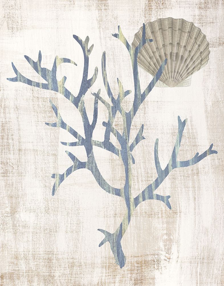 Kelp III art print by Susan Arnot for $57.95 CAD