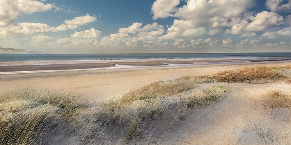 Dream Beach art print by Mike Calascibetta for $57.95 CAD