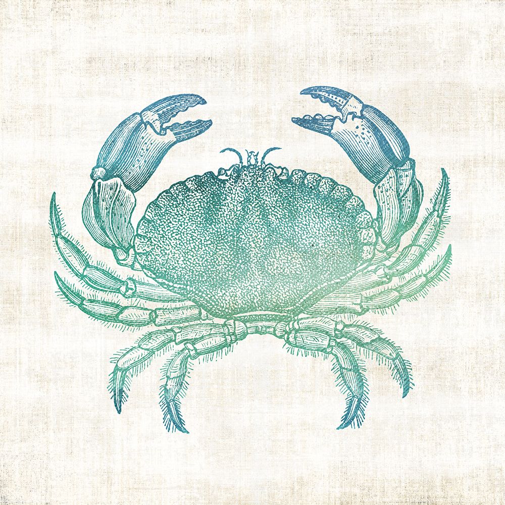 Coastal Crab art print by Susan Arnot for $57.95 CAD