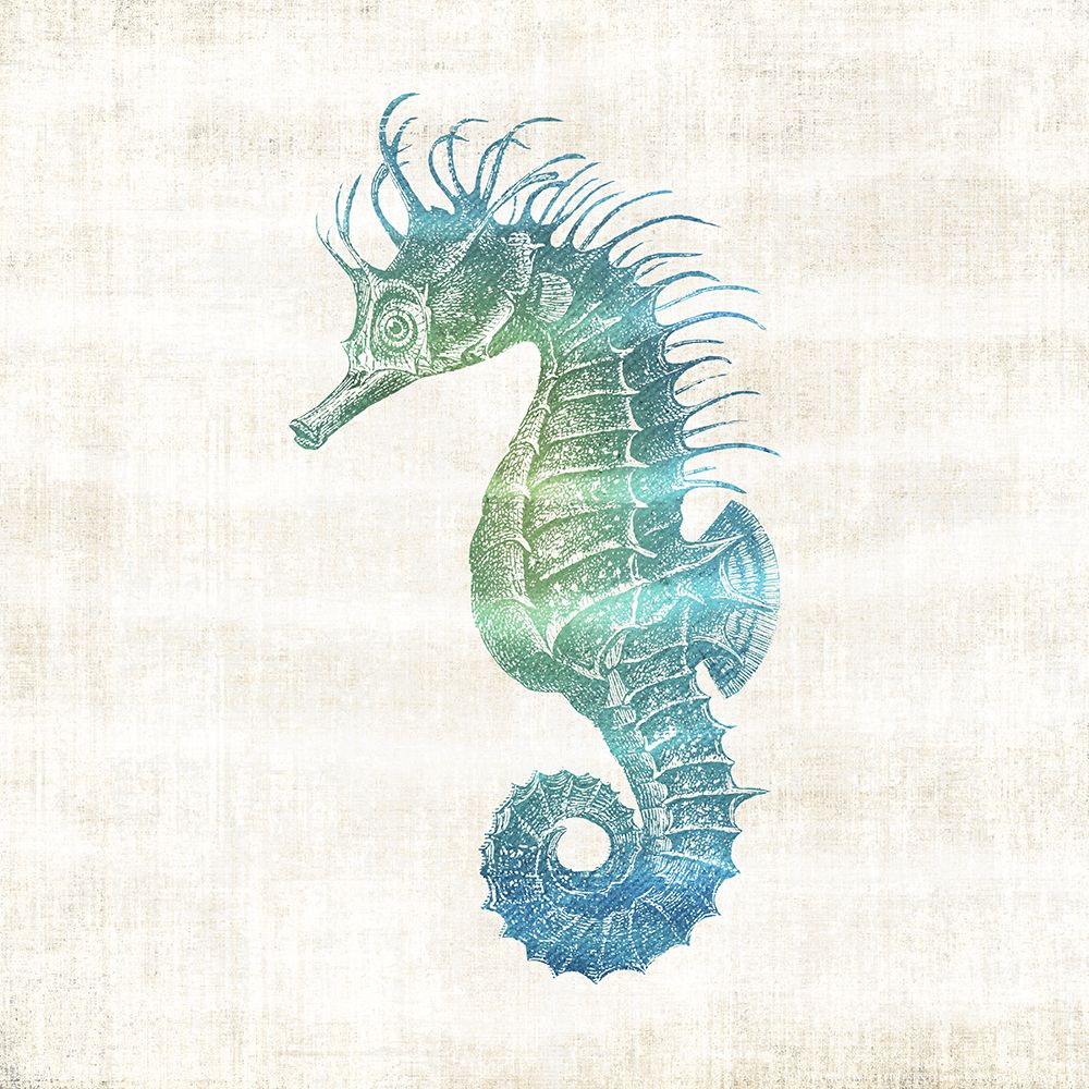 Coastal Seahorse art print by Susan Arnot for $57.95 CAD