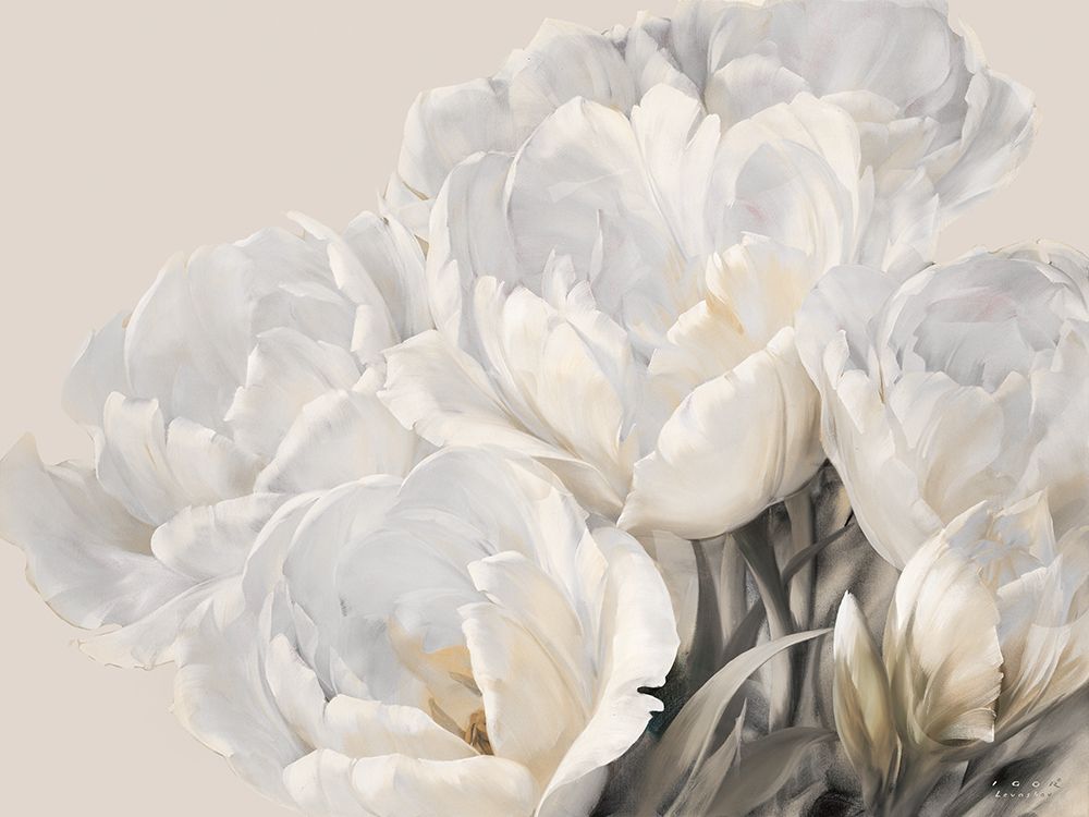 White Tulips II art print by Igor Levashov for $57.95 CAD