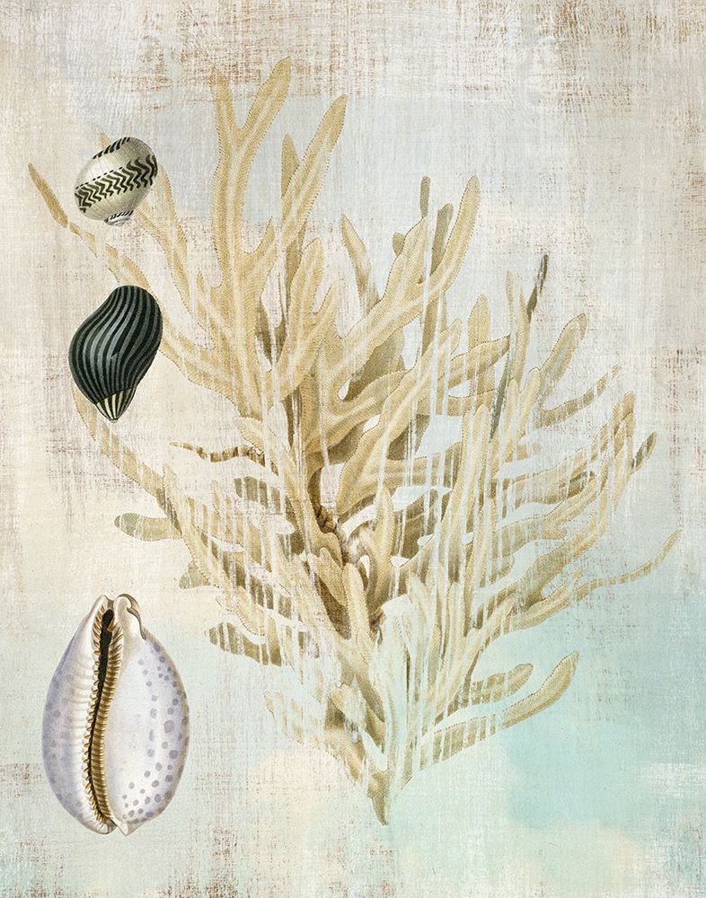 Seaside I art print by Susan Arnot for $57.95 CAD