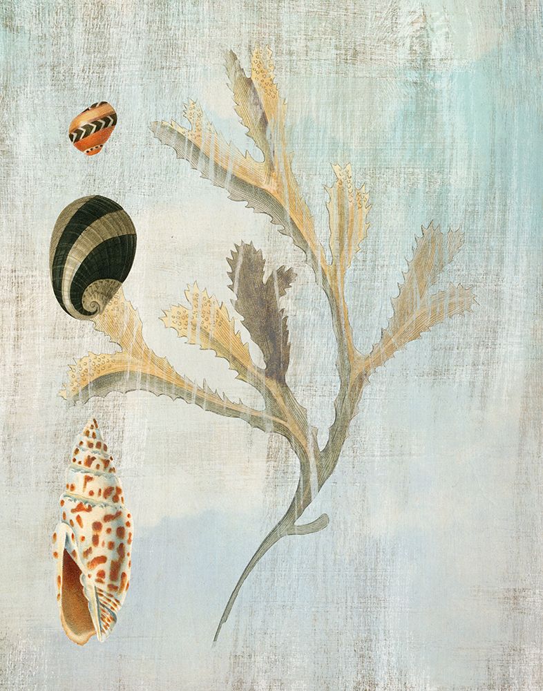 Seaside II art print by Susan Arnot for $57.95 CAD