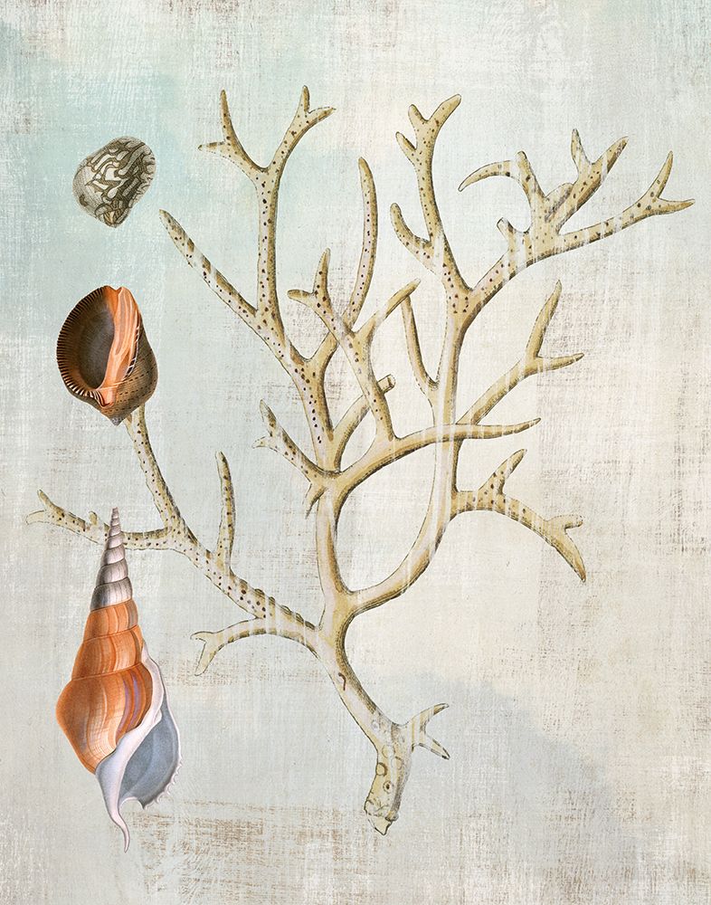 Seaside III art print by Susan Arnot for $57.95 CAD