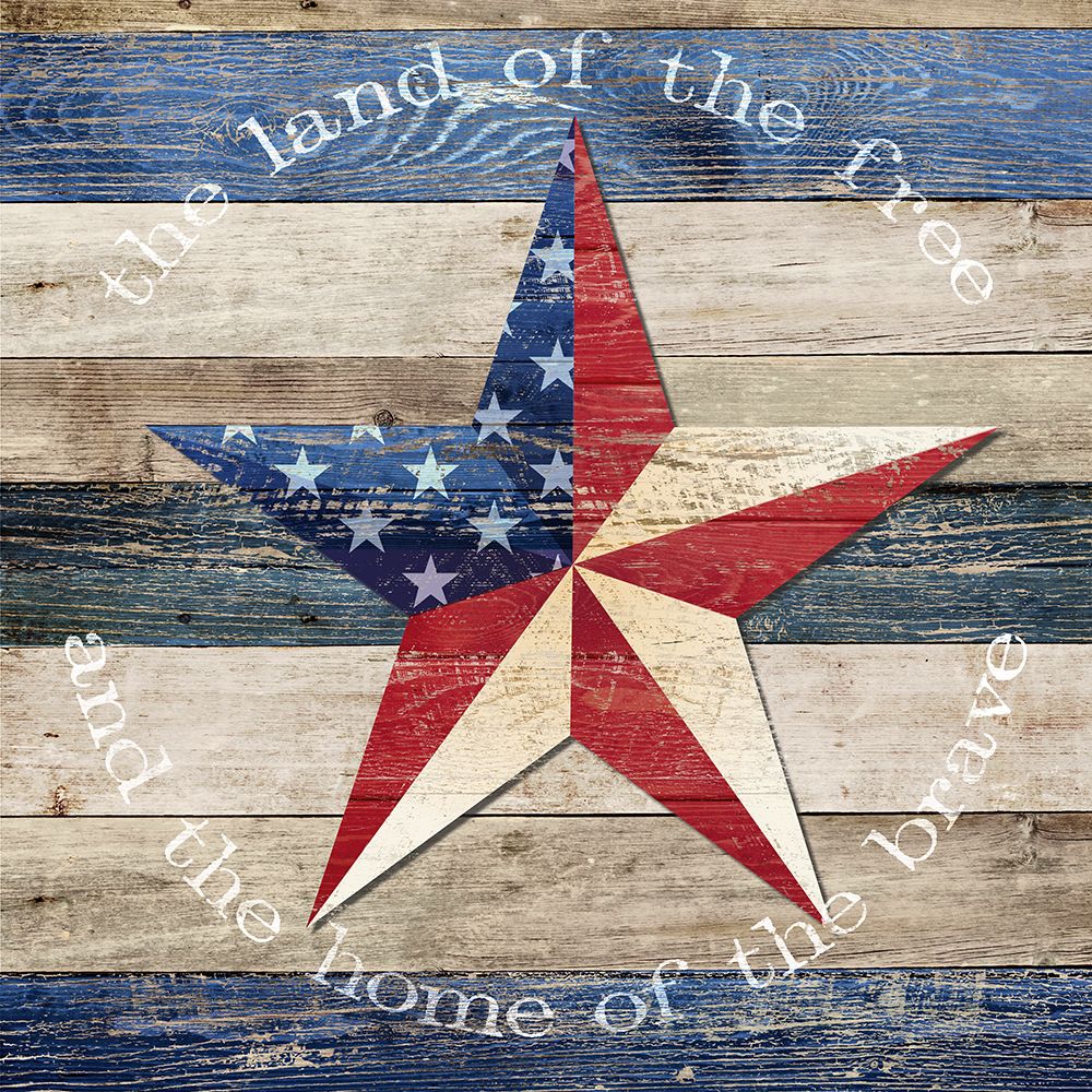 Land of the Free and Home of the Brave art print by Susan Arnot for $57.95 CAD