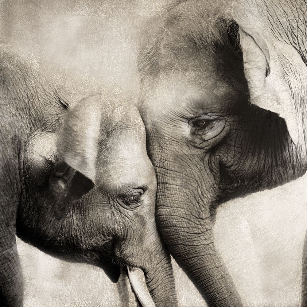 Much Love art print by CAD Design for $57.95 CAD