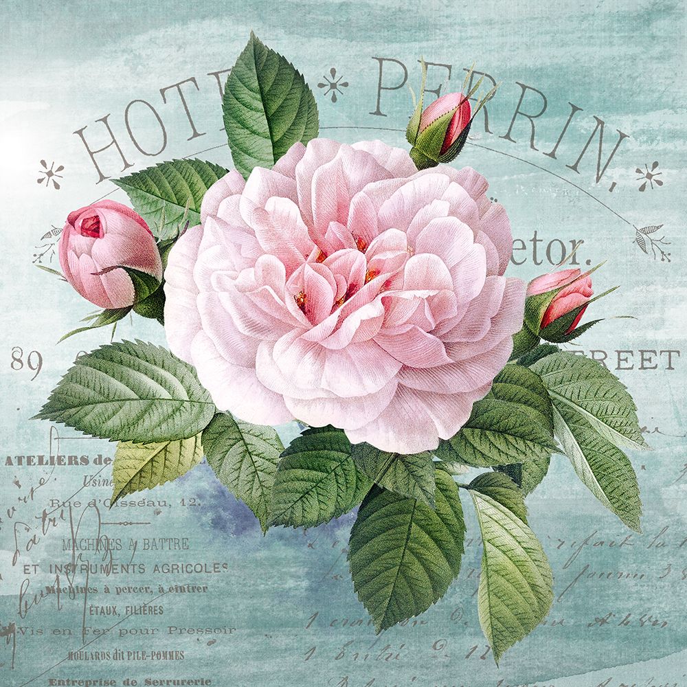 Cottage Rose I art print by Susan Arnot for $57.95 CAD