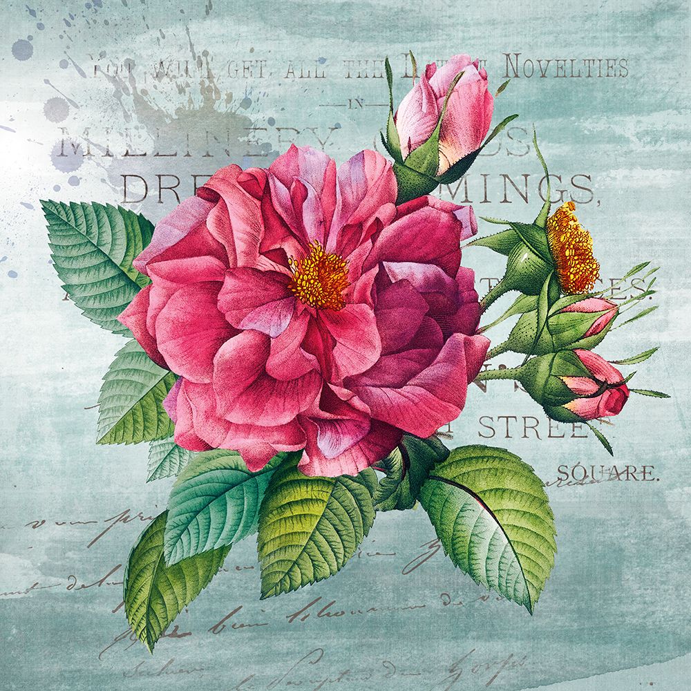 Cottage Rose II art print by Susan Arnot for $57.95 CAD