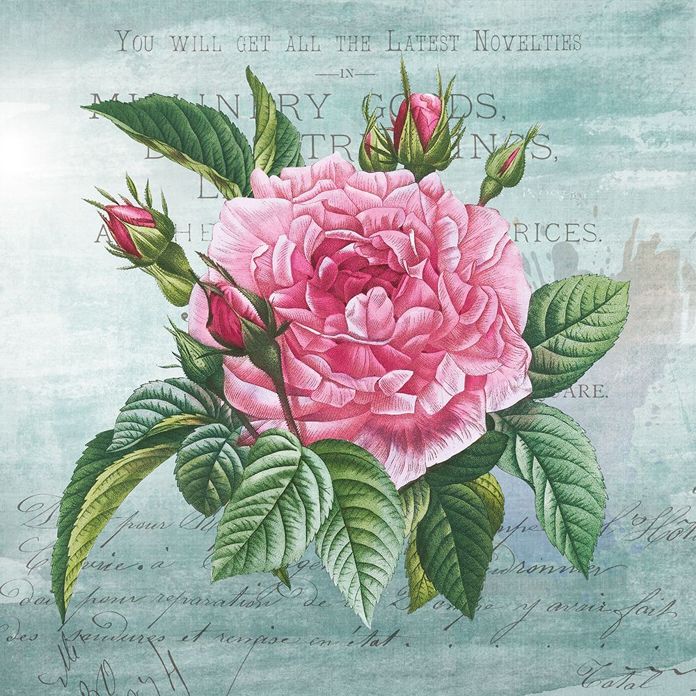Cottage Rose III art print by Susan Arnot for $57.95 CAD