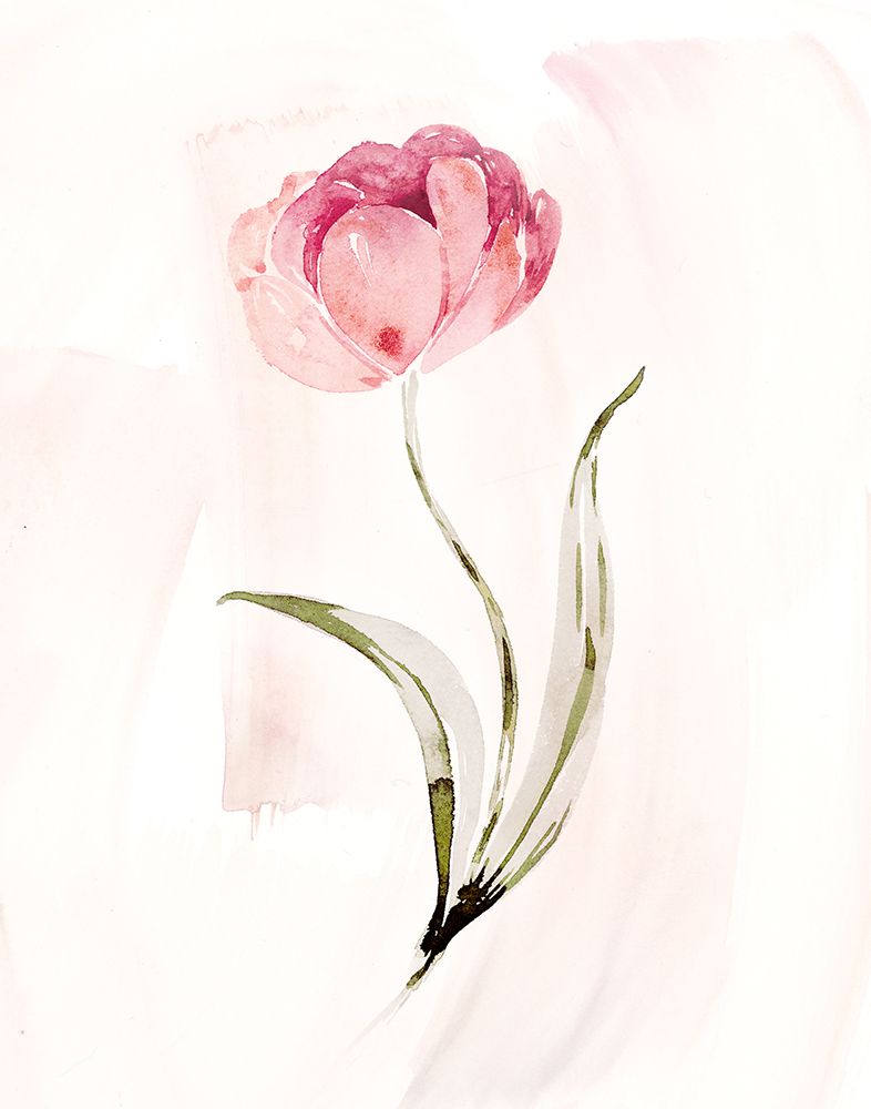 Tulip II art print by Kristen Brockmon for $57.95 CAD