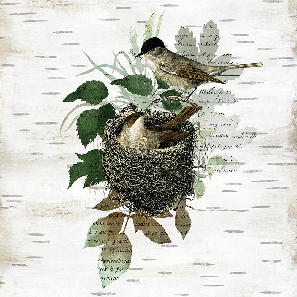 Birds Nest II art print by Susan Arnot for $57.95 CAD