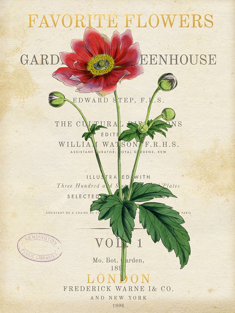 Anemone art print by Susan Arnot for $57.95 CAD
