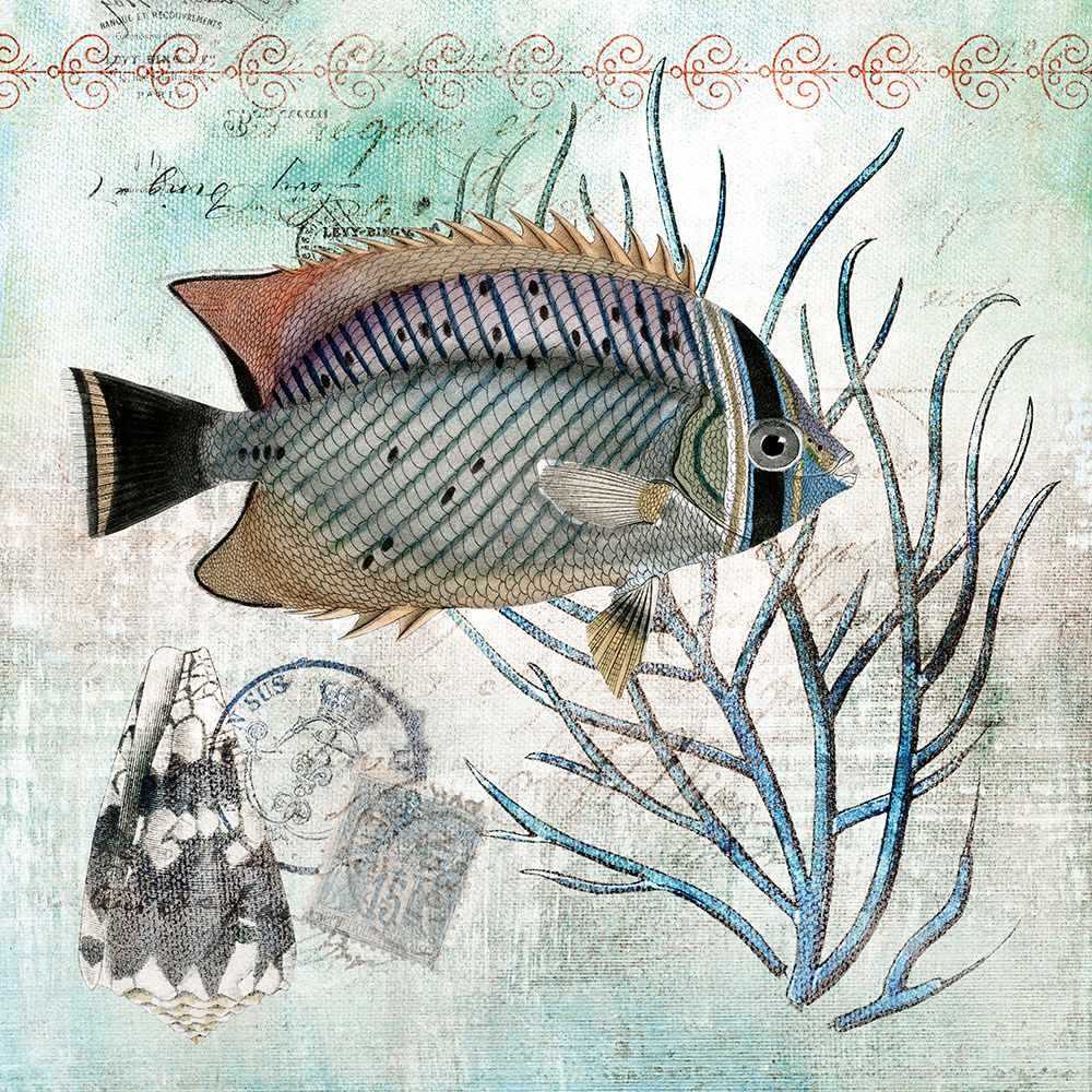 Archipelago Fish III art print by Susan Arnot for $57.95 CAD