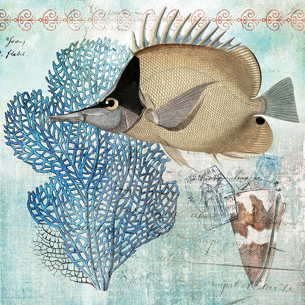 Archipelago Fish IV art print by Susan Arnot for $57.95 CAD
