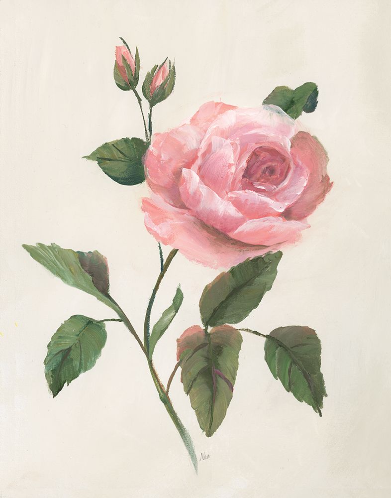 Rosie Rose I art print by Nan for $57.95 CAD