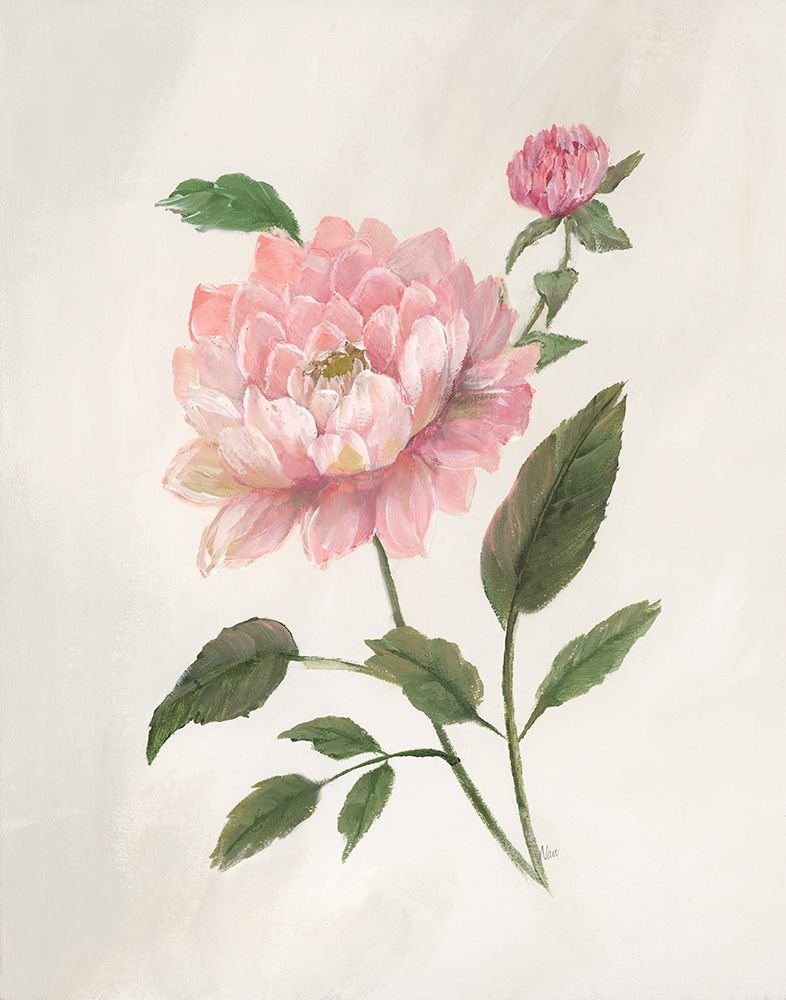 Rosie Rose II art print by Nan for $57.95 CAD