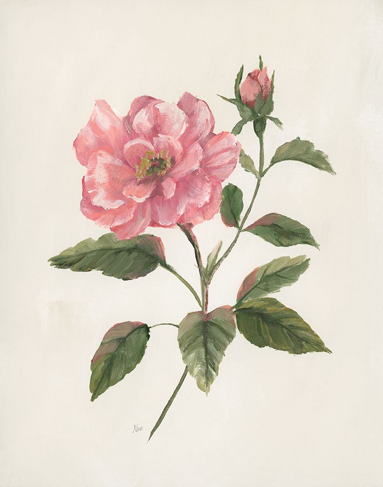 Rosie Rose III art print by Nan for $57.95 CAD