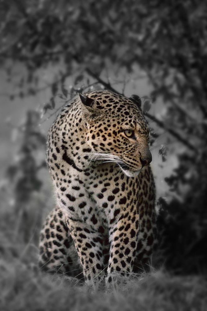 Into Focus art print by Danita Delimont for $57.95 CAD