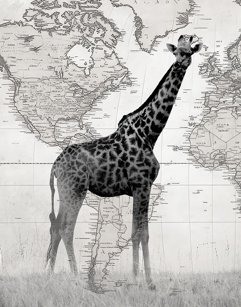 World Giraffe I art print by Danita Delimont for $57.95 CAD