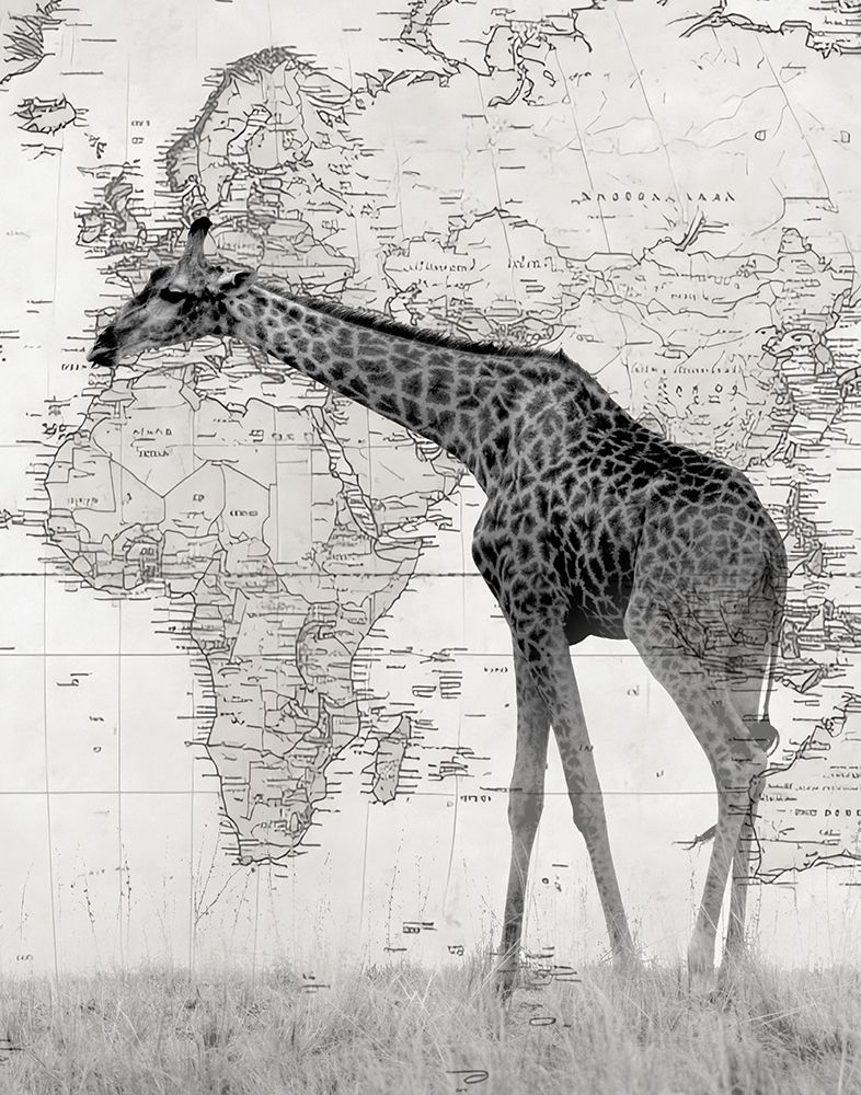 World Giraffe II art print by Danita Delimont for $57.95 CAD